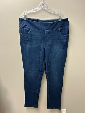 DG2 by Diane Gilman Women’s Blue Skinny Jeans